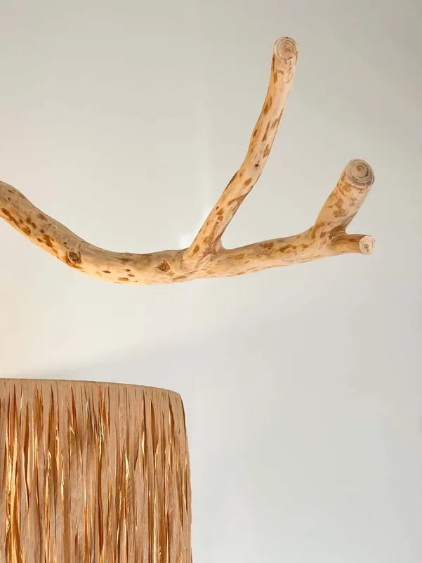 Nevada – Lampadaire Désert Minéral