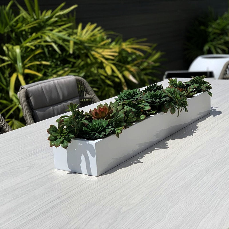 Succulentes Dans Un Cache‑Pot Balcon