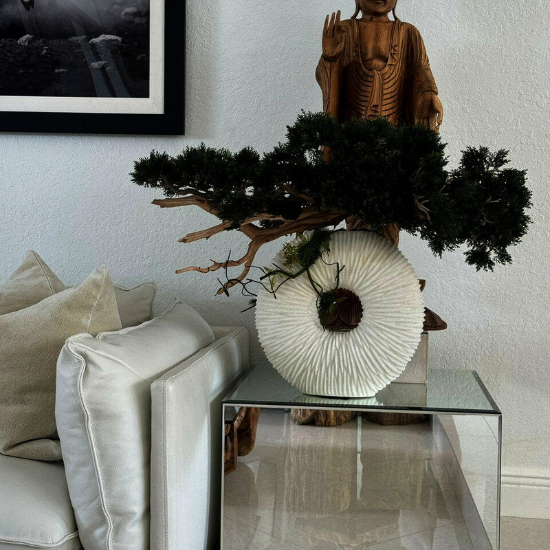 Bonsaï Traînant Et Bois Flotté Dans Un Vase Éternité Beige Mat Moyen
