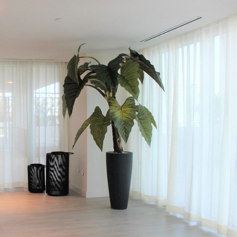 Alocasia Red Prince Dans Un Cache‑Pot Ashton Noir