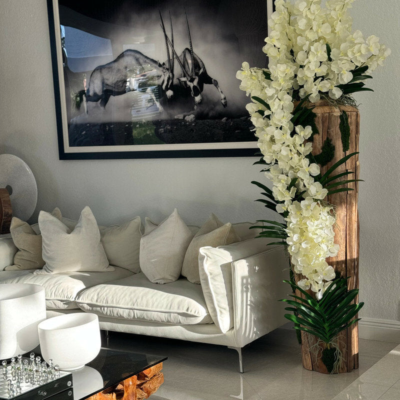 Vase Teck À Bord Brut Avec Orchidées Vanda Blanches