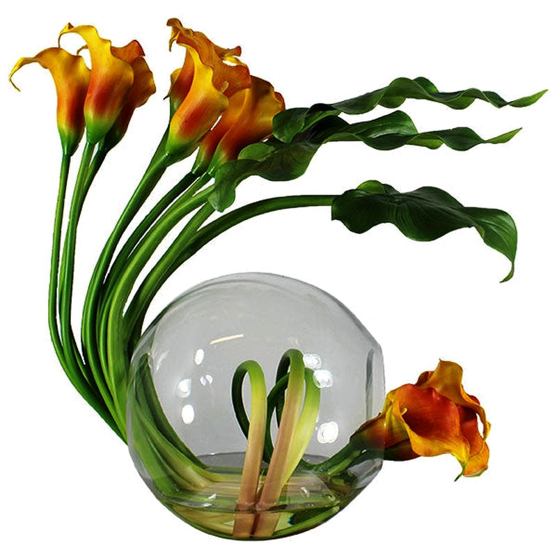 Arums Mangue Dans Un Vase Crosswinds