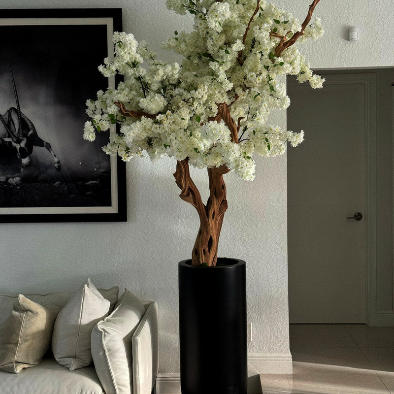 Cerisier Blanc Dans Un Cache‑Pot St. Tropez Noir Mat