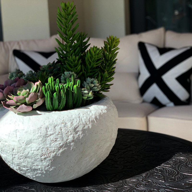 Bol Tahiti Avec Succulentes Mixtes