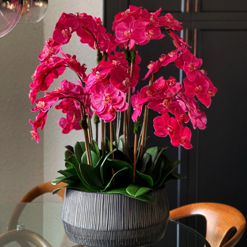 Bol Java Noir Avec Orchidées Phalaenopsis Roses