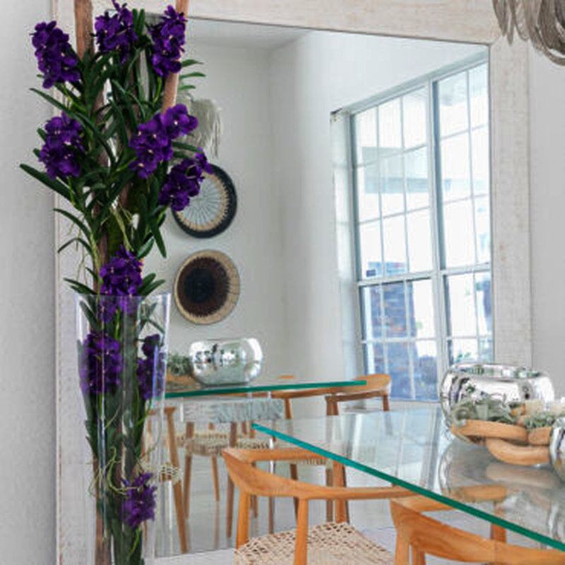 Orchidées Vanda Pourpres Et Bois Flotté Dans Un Cylindre En Verre Surdimensionné