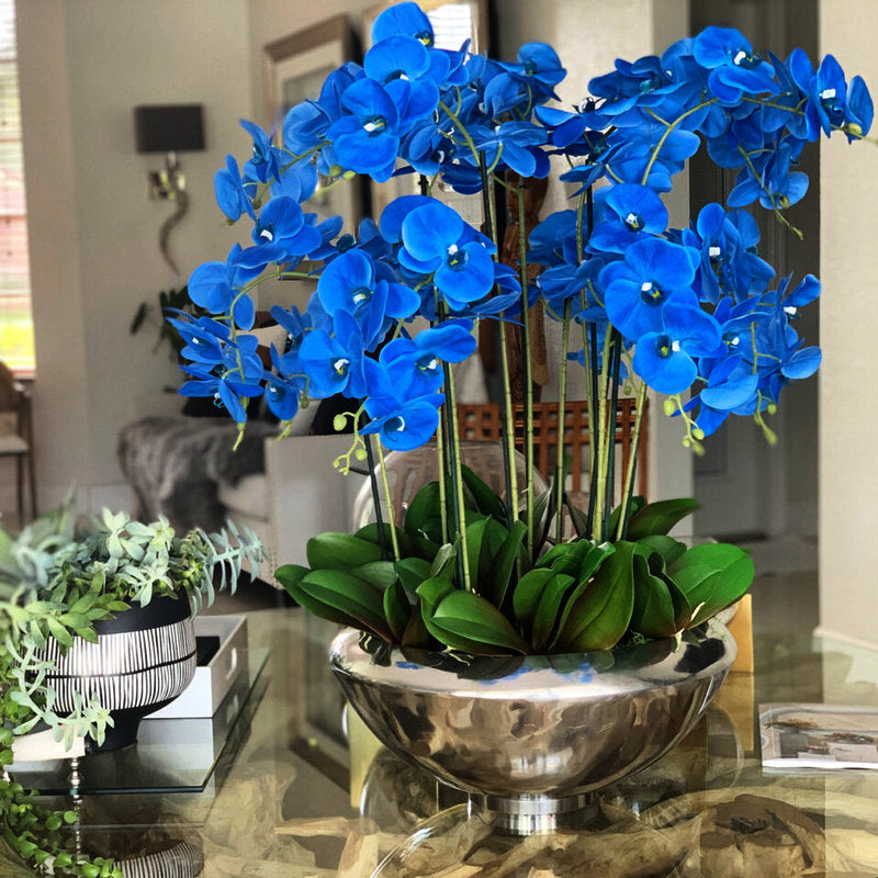 Orchidées Phalaenopsis Bleues Dans Un Bol Avenue Argenté