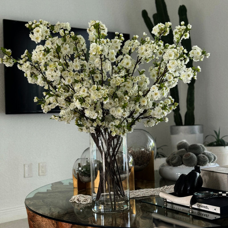 Fleurs De Cerisier Blanc Dans Un Cylindre En Verre