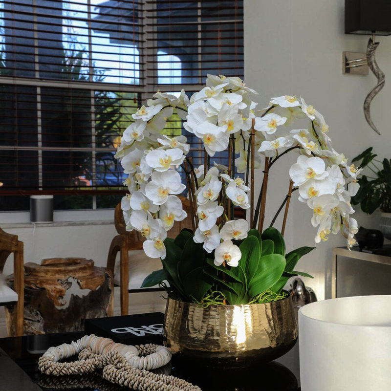 Orchidées Phalaenopsis Dans Un Cache‑Pot Doré