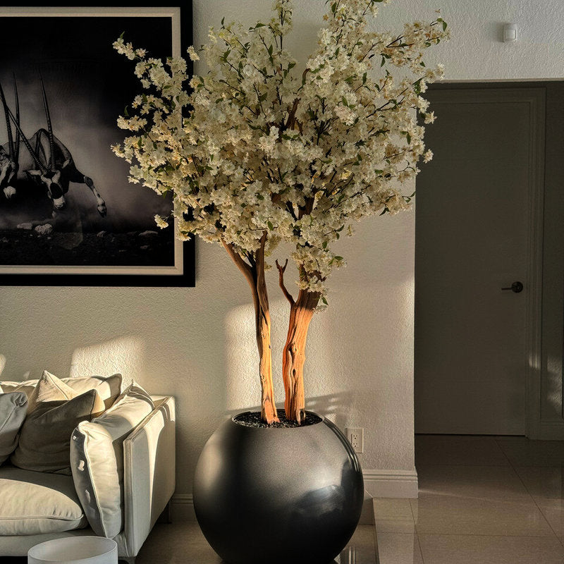 Cerisier Blanc Dans Un Globe Gunmetal Mat