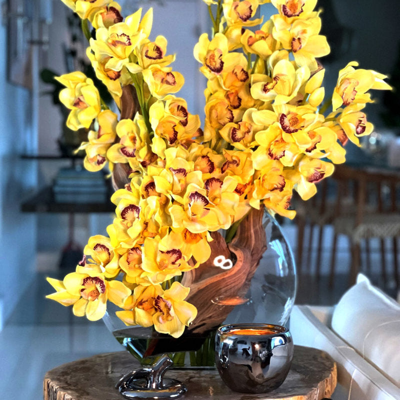 Cymbidiums Jaunes Dans Un Vase Lune
