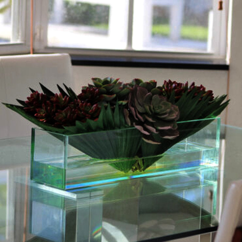 Succulentes Mixtes Dans Un Plateau Verre 51 cm