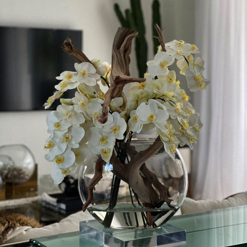 Orchidées Blanches Dans Un Vase Lune