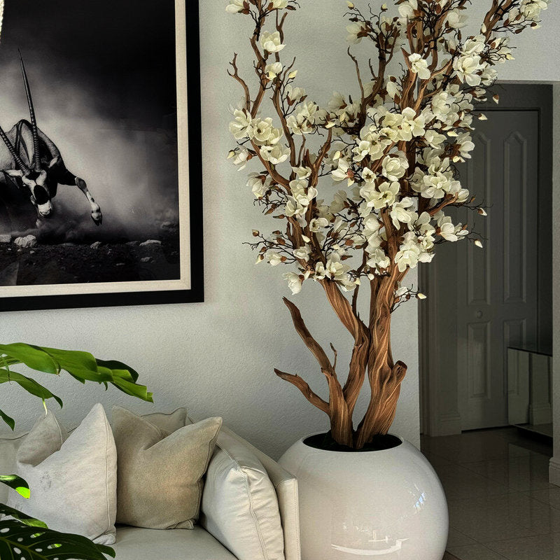 Magnolia Blanche Dans Un Vase Sphérique Laqué