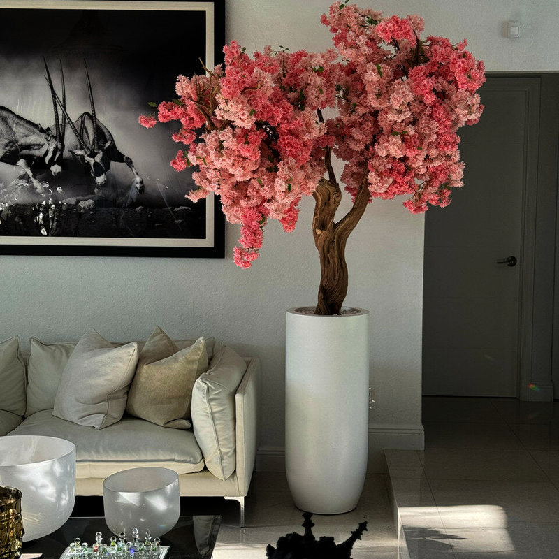 Cerisier Rose Dans Un Cache-Pot Blanc Mat