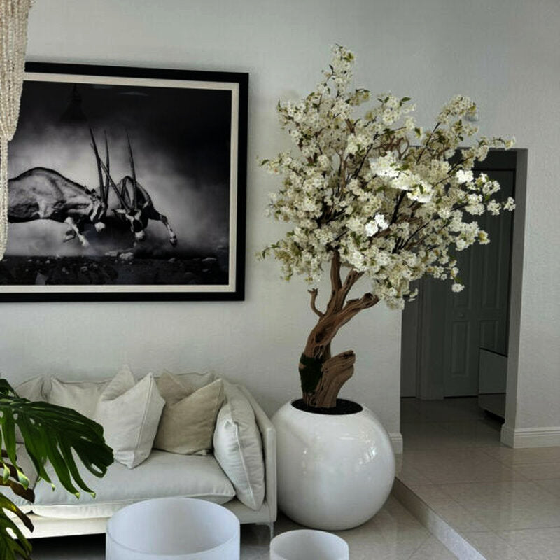 Cerisier Blanc Dans Un Vase Sphérique Laqué