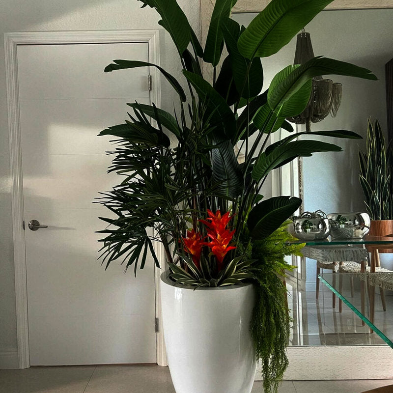 Plantes Tropicales Dans Un Cache-Pot Blanc Laqué