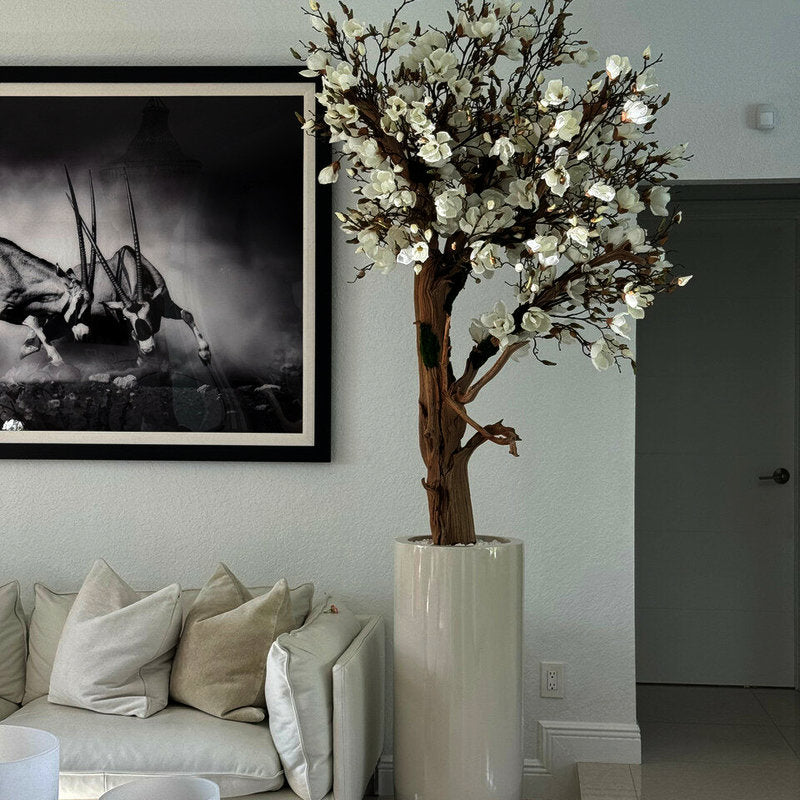 Magnolia Dans Un Cache‑Pot St. Tropez Beige Laqué