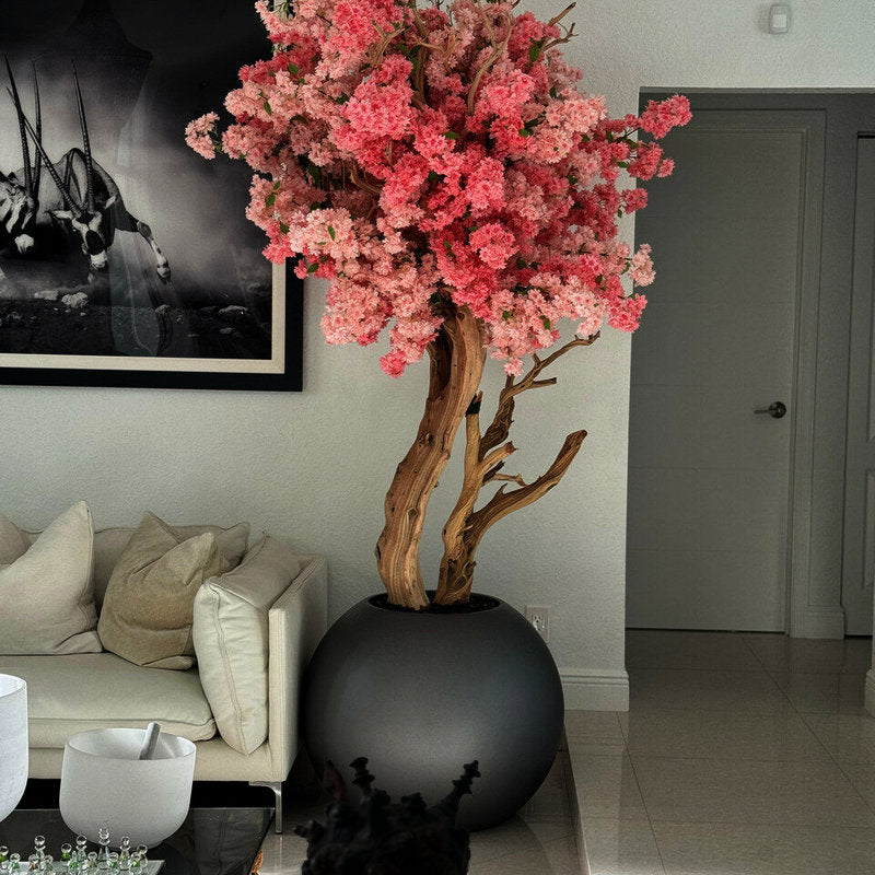 Fleurs De Cerisier Bicolores Dans Un Globe Gunmetal Mat